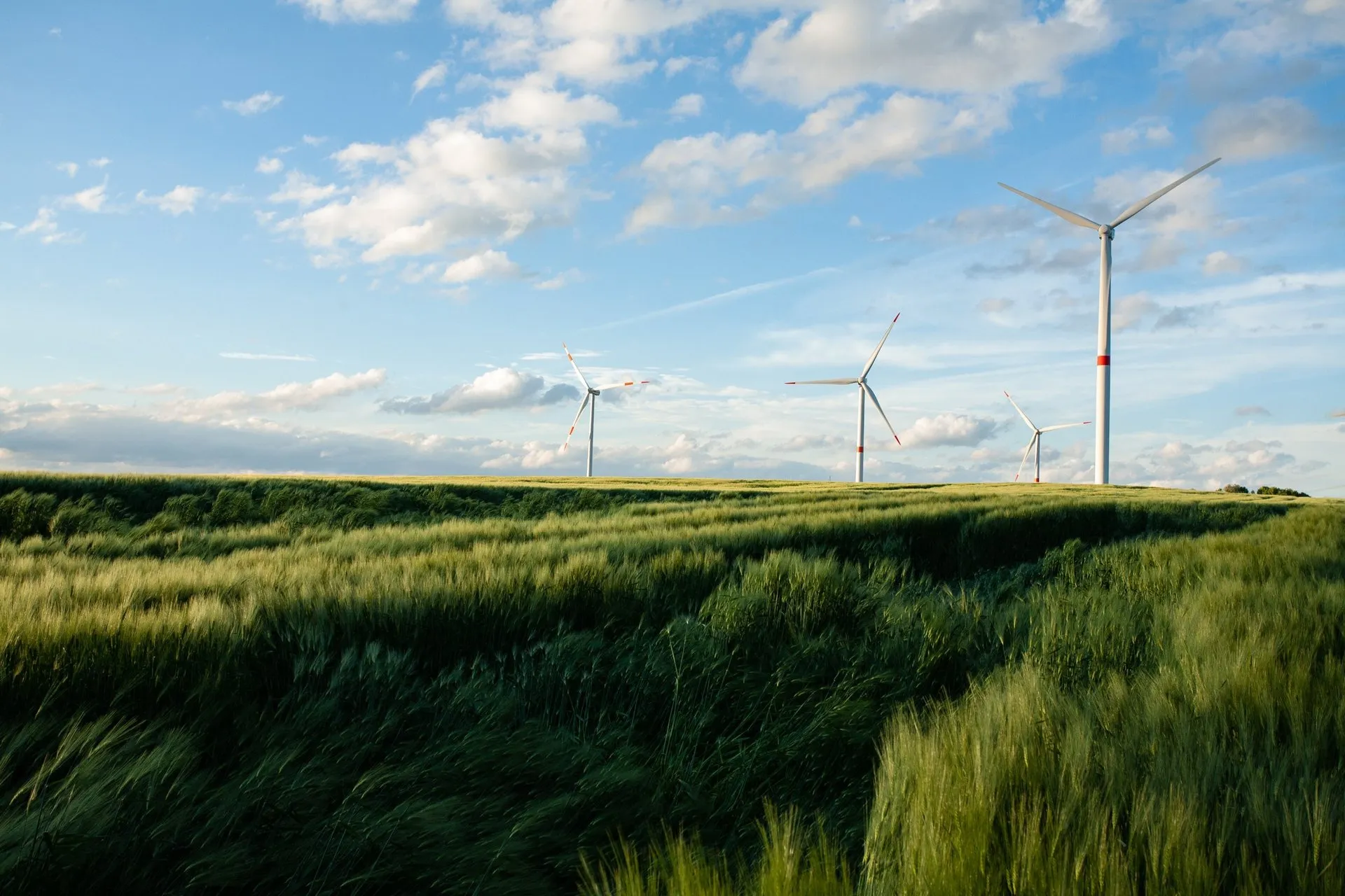 Argentina se suma por primera vez a la red global de Climate Weeks