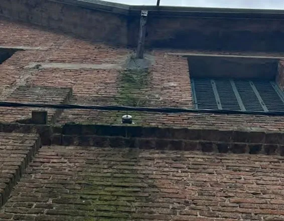 Tre