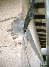Imagen5
