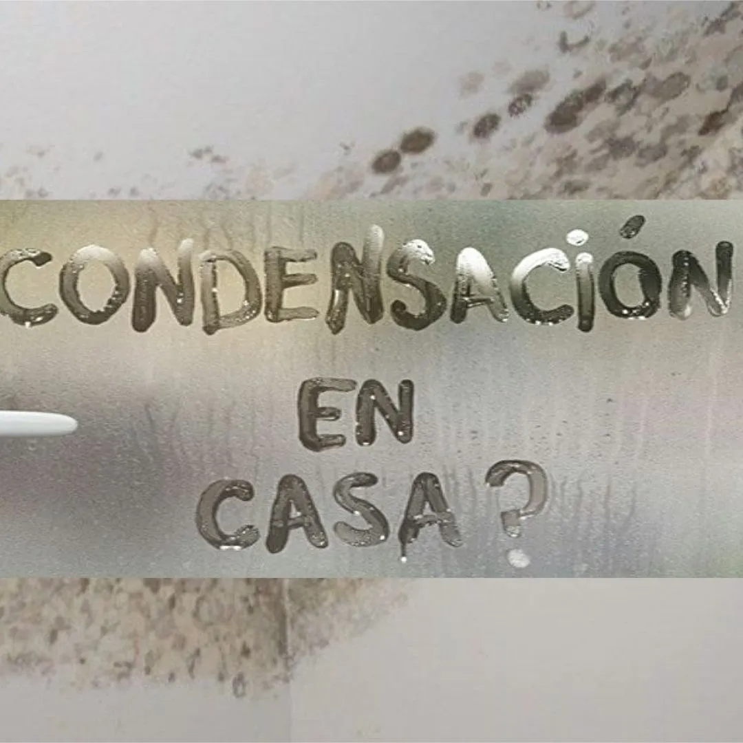 Construir una casa: El material que nadie ve pero que te ahorra altos costos en facturas y te hace ganar en calidad de vida