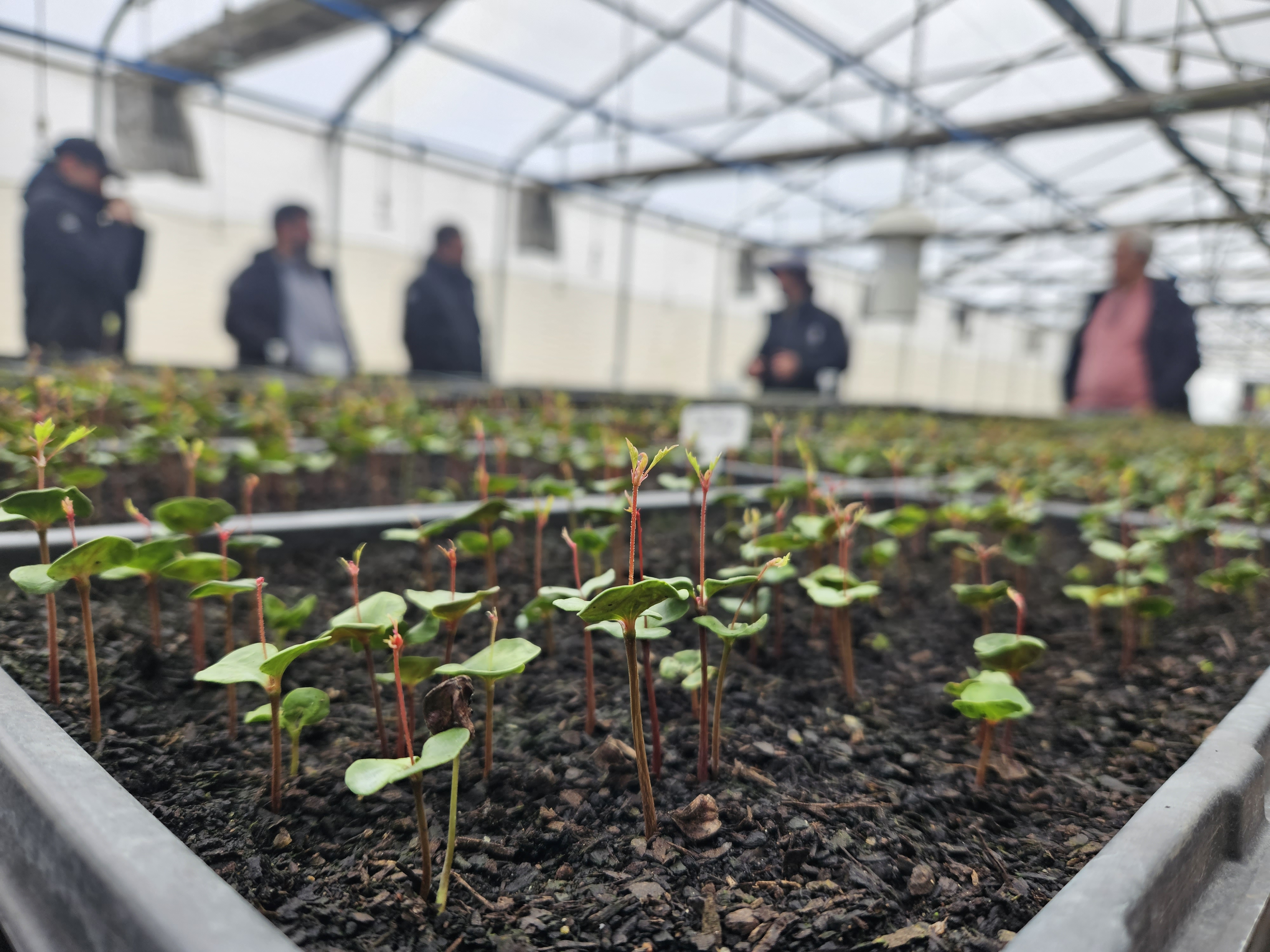 Día de la Tierra, una fecha clave para reafirmar el compromiso con la sostenibilidad El compromiso de Epson con el medio ambiente
