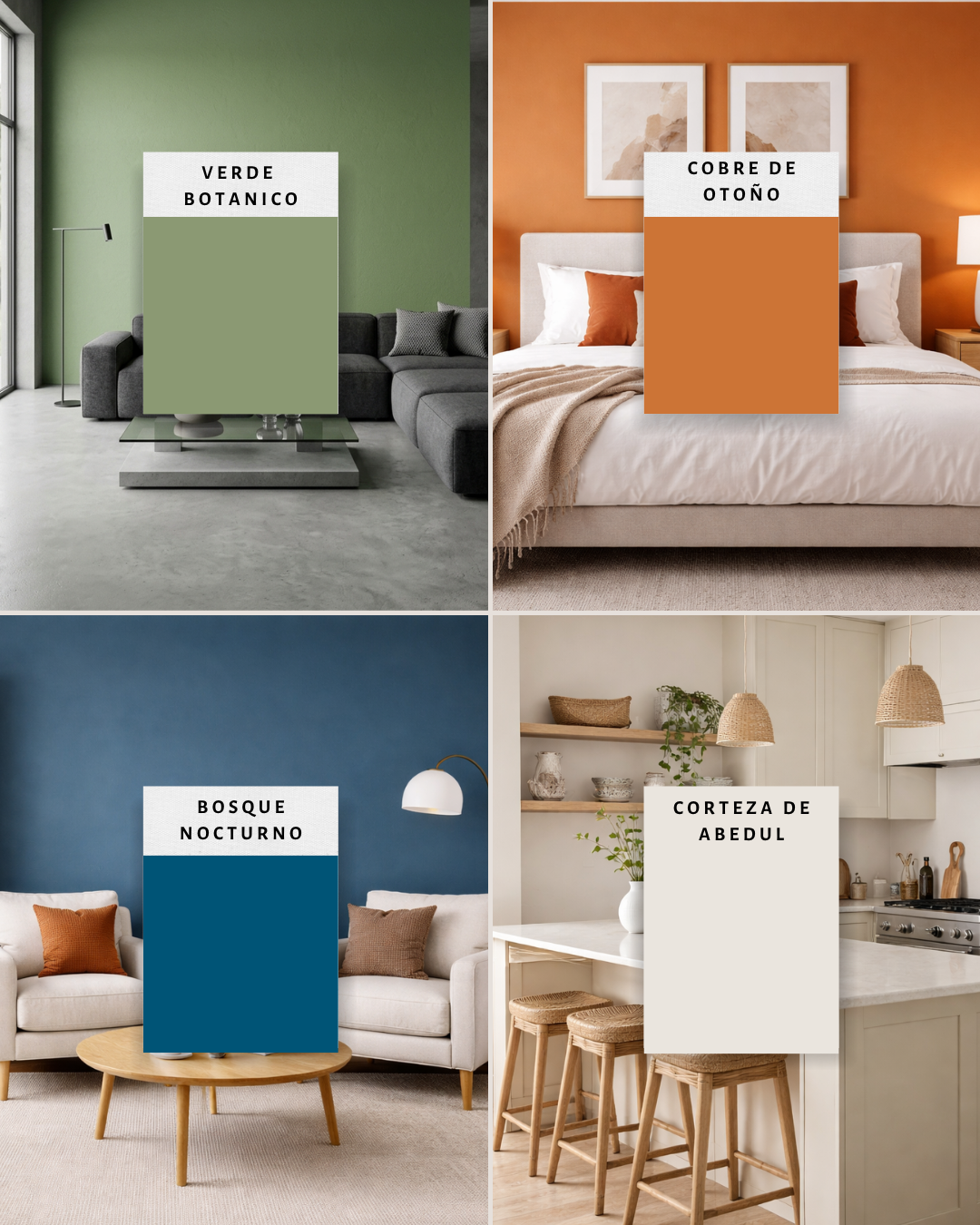 Sui Color presenta Sui Color Design, su nueva unidad de negocio - Imagen 1