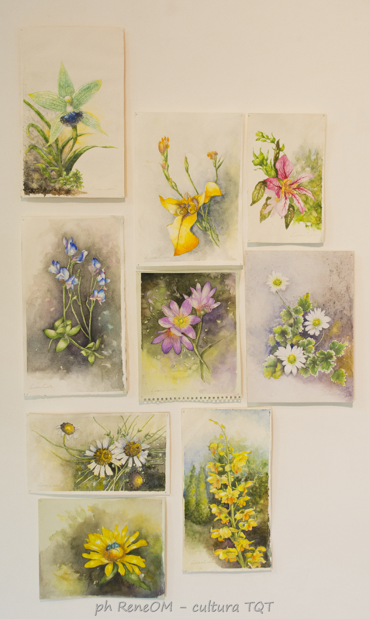  Arte desde las raíces - Imagen 8