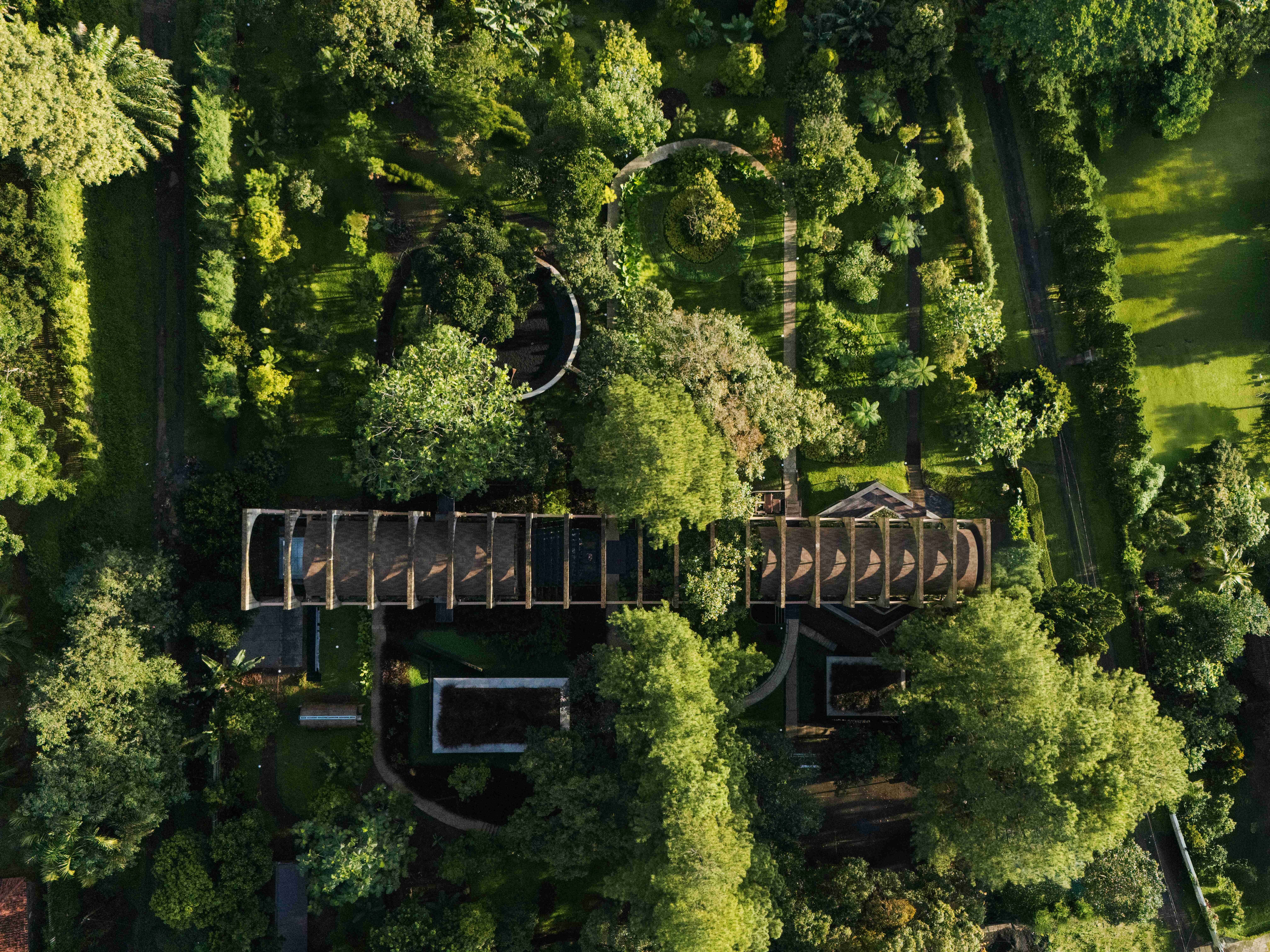 Six AMP 2025 Awardees | Works That Expand What Architecture Can Do | Sanctuary Tunnel Garden - Imagen 3