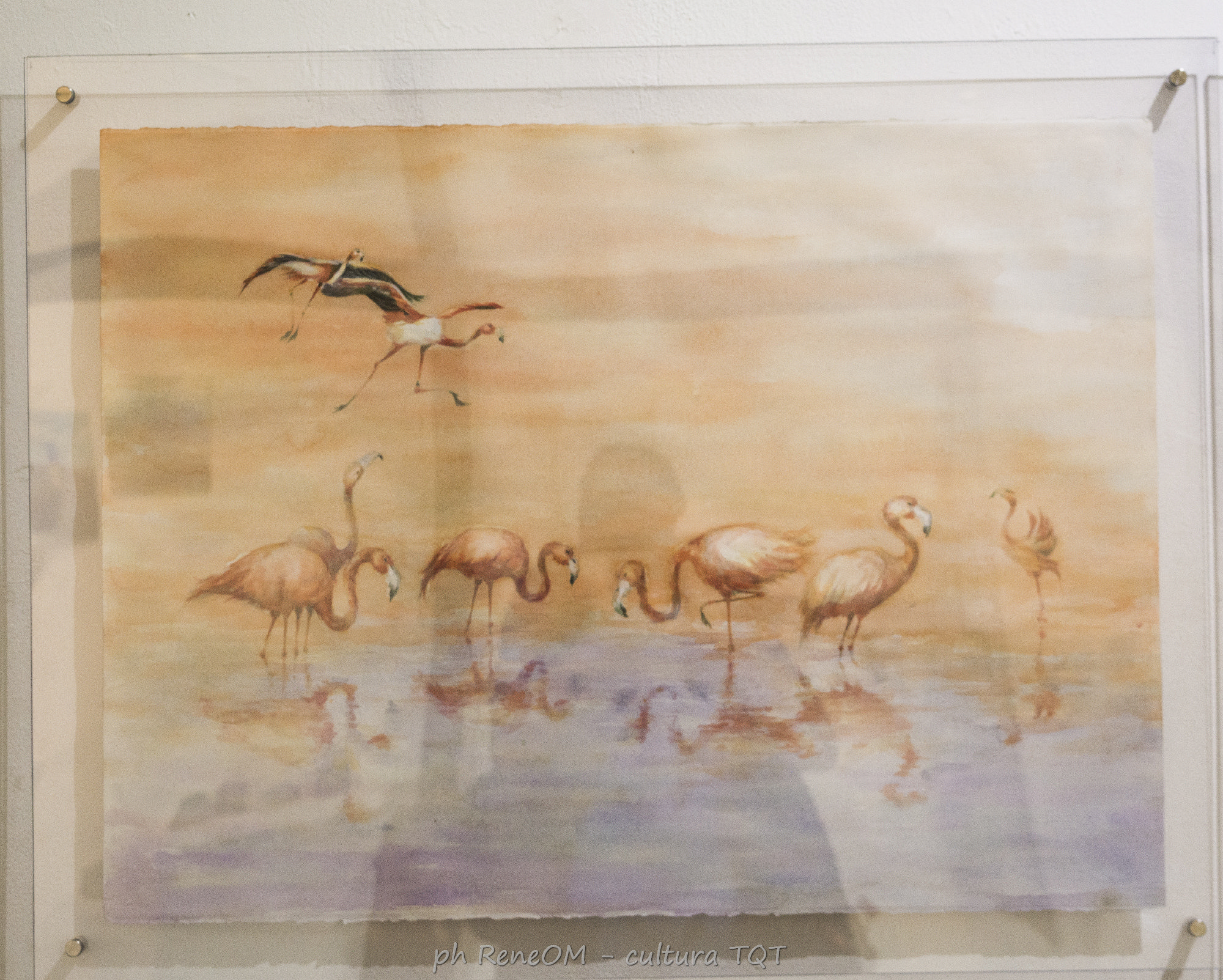  Arte desde las raíces - Imagen 6