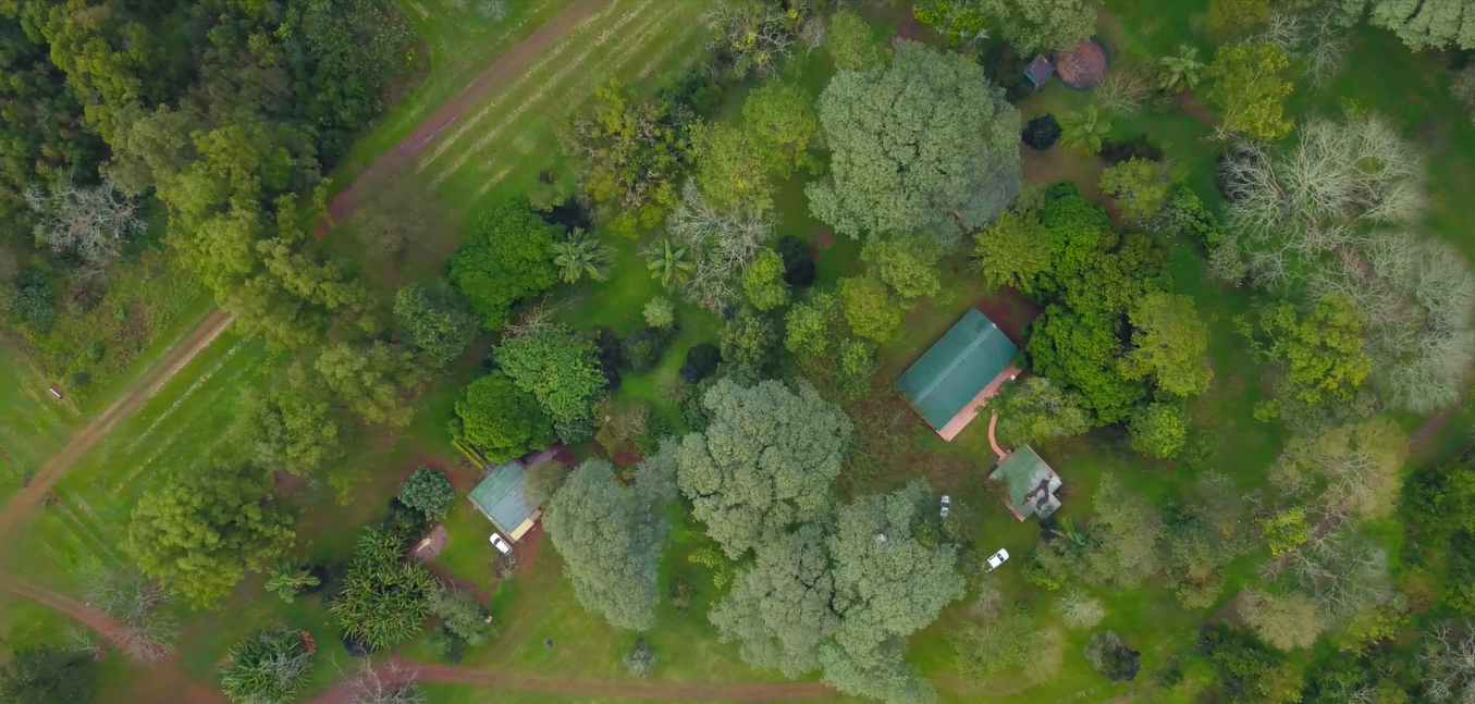 El proyecto Santo Domingo de Novartis logró reducir 452 mil toneladas de dióxido de carbono