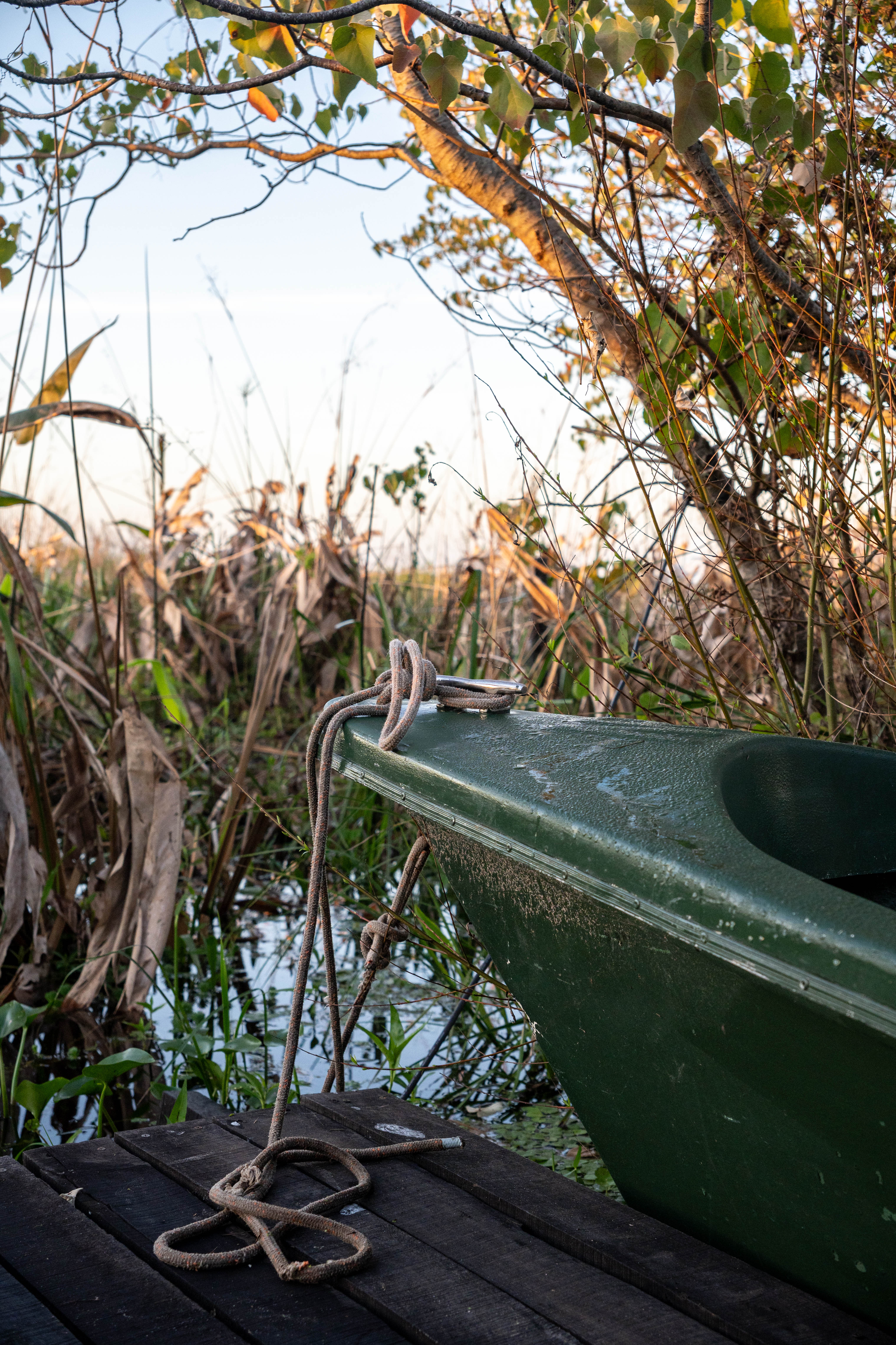 Lujo silencioso en Corrientes: La Alondra, el hotel de diseño que conquista a los viajeros del mundo - Imagen 4