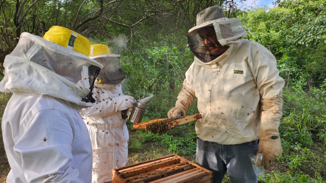 Pata Pila responde a la crisis del empleo en el norte argentino - Imagen 2