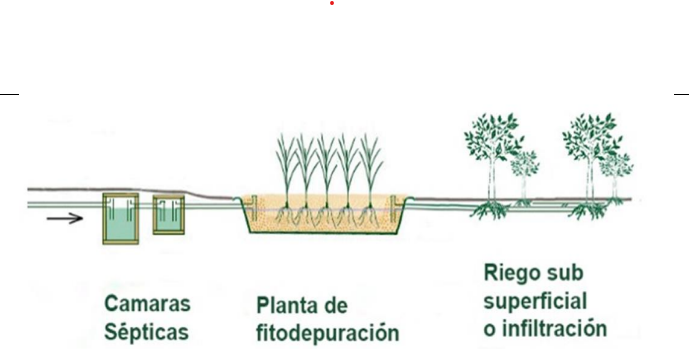 Captura De Pantalla 2026 04 13 151225