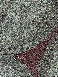 Foto 4 Sexto Panteon Piccola