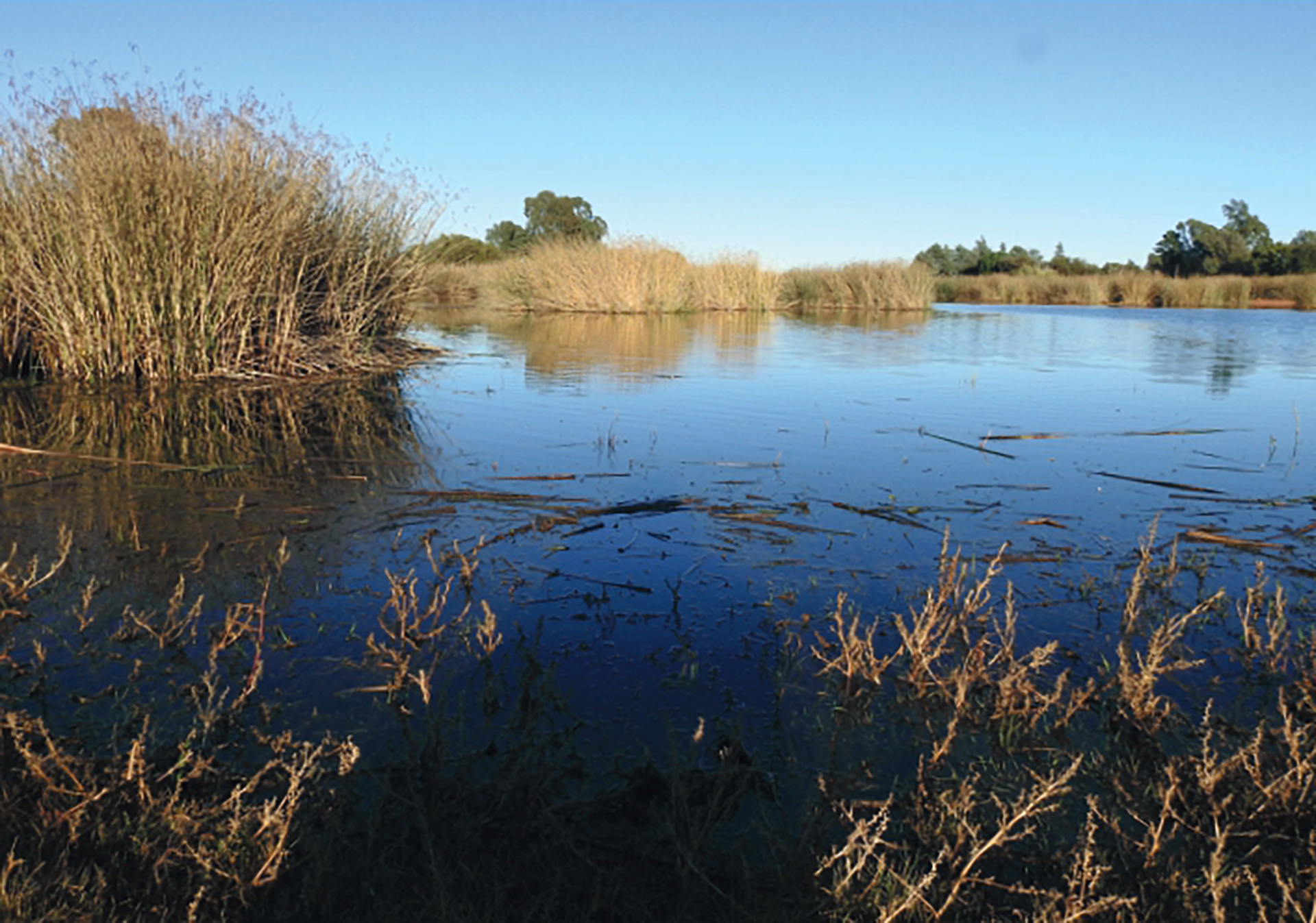 36 de los 135 municipios bonaerenses cuentan con una reserva natural municipal