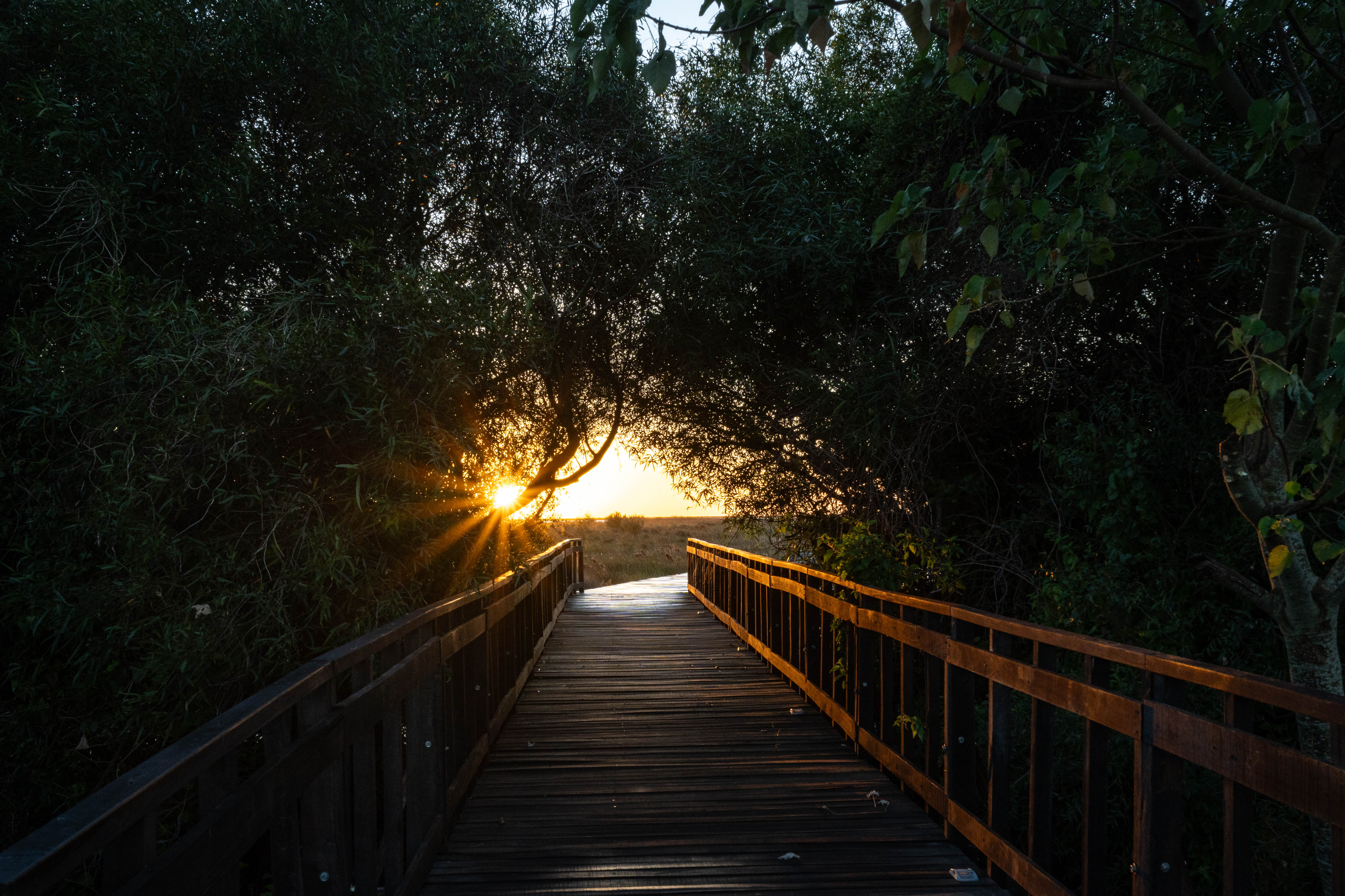 Lujo silencioso en Corrientes: La Alondra, el hotel de diseño que conquista a los viajeros del mundo - Imagen 6