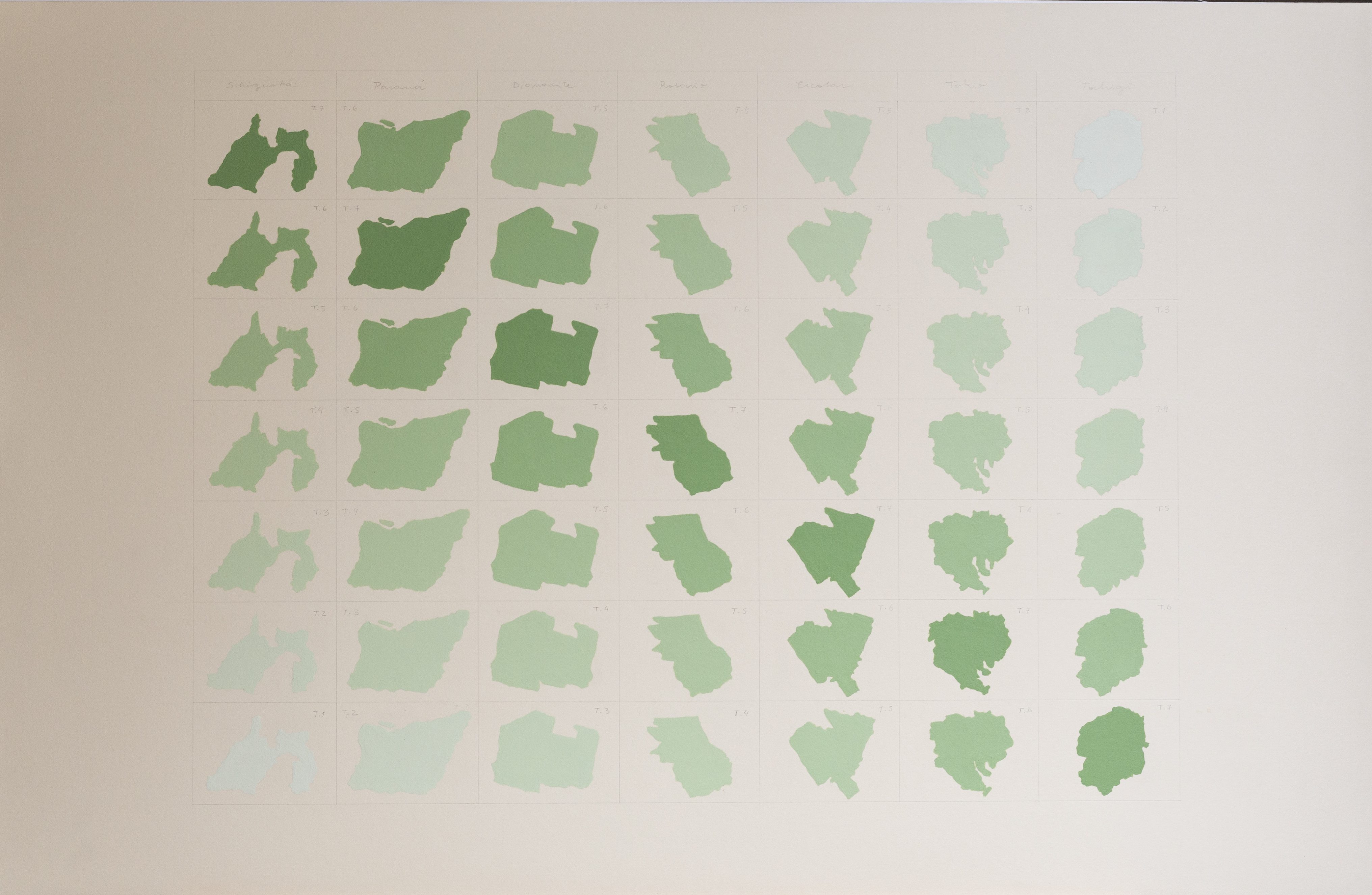 CONVERSACIONES EN LA BRUMA  UN ARCHIVO AFECTIVO PARA LA OBRA DE SAITO SHOSAKU