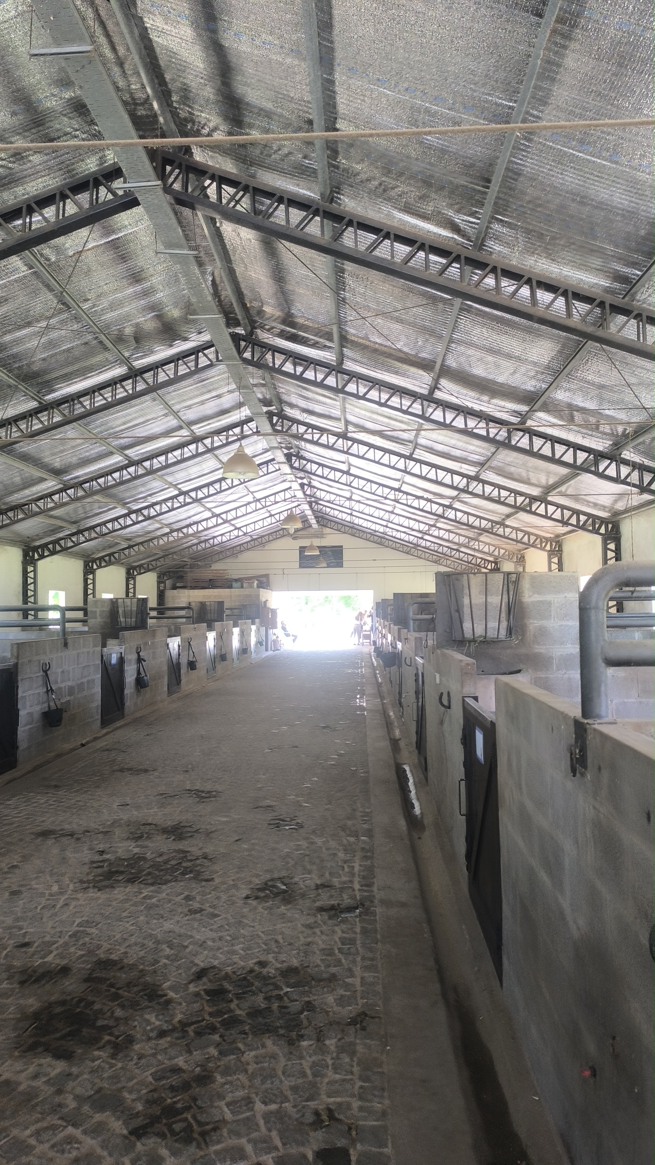 Polo day en Haras del Sur - Imagen 3