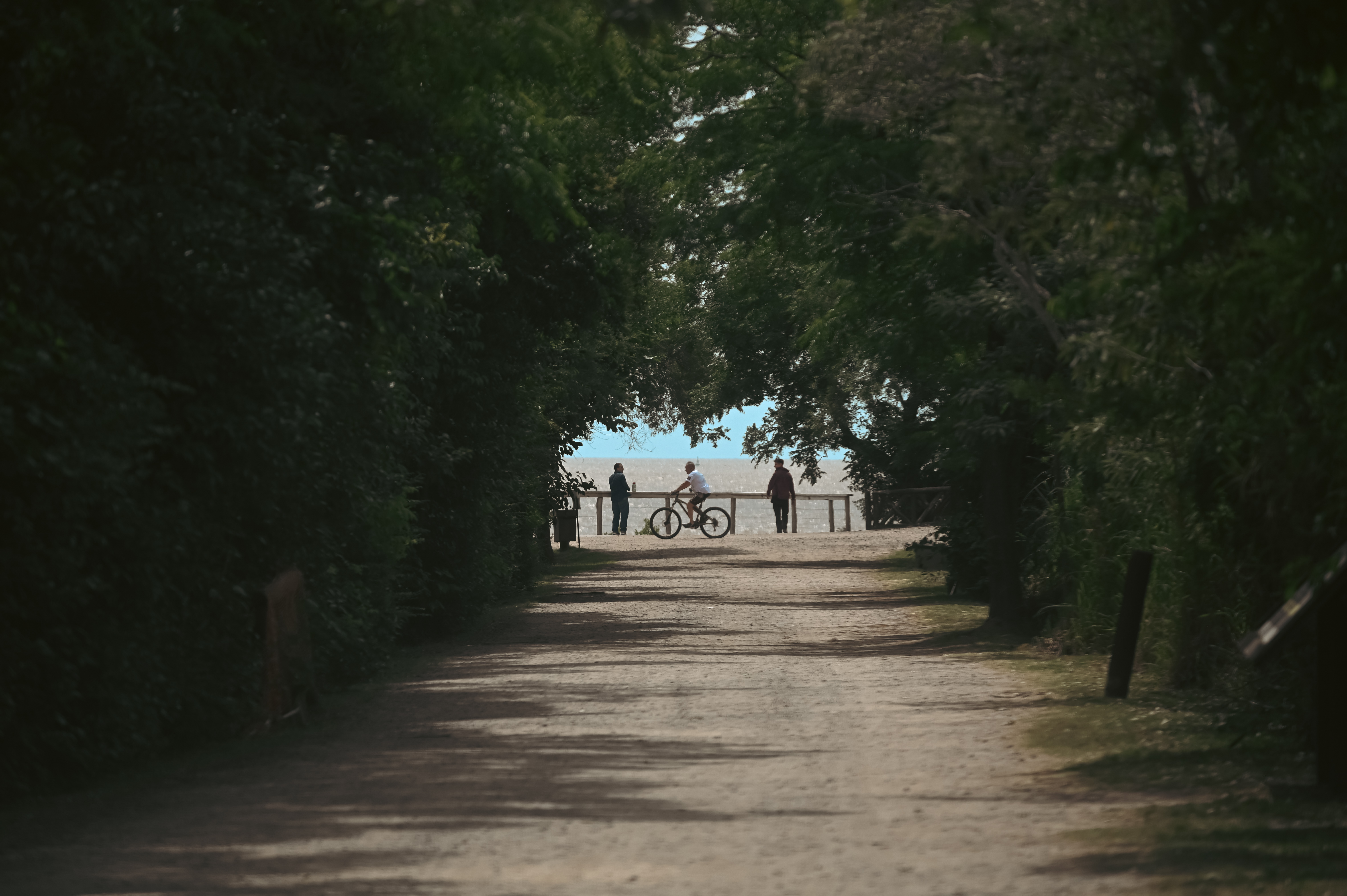 Más de un millón de visitantes eligieron a Buenos Aires durante los fines de semana largos de 2025 - Imagen 6