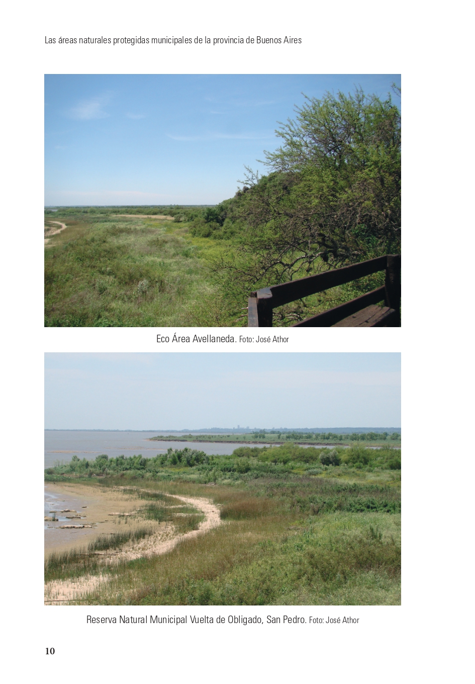 36 de los 135 municipios bonaerenses cuentan con una reserva natural municipal - Imagen 3